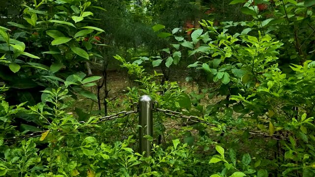 Stainless steel bollard post with chain link barrier in lush green garden setting