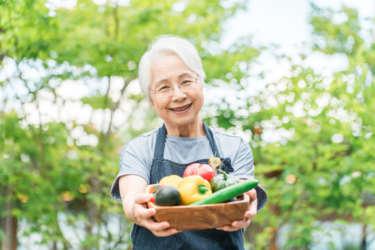 夏野菜を持つ農家のシニア女性（農業,有機栽培,農作物）
