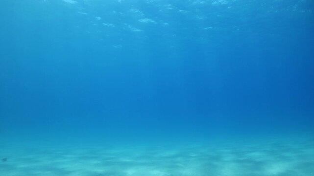sun beams sun rays sun shine underwater nice light slow moving at the sandy bottom reflections relaxing ocean scenery 
