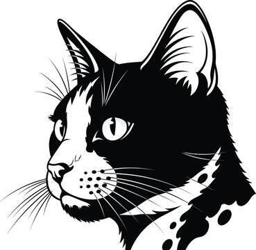 Black and white illustration of a cats head  looking left