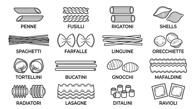 Variety of Italian Pasta Shapes - Line Art Collection