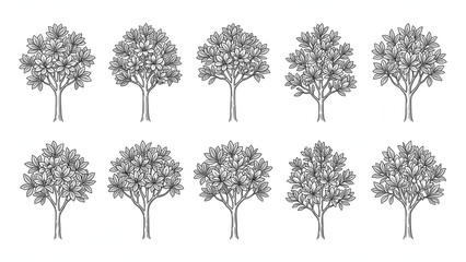 Fototapeta premium Set of Hand Drawn Dense Magnolia Flower Trees Vector Illustration