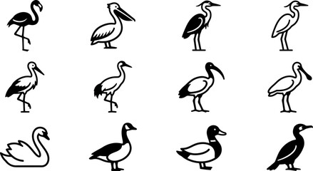 Collection of black and white icons representing various water birds. © jojo
