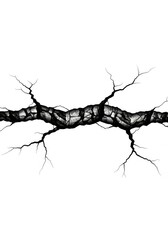 Obraz premium Black and White Cracked Surface Illustration - Realistic Fissure and Fracture Graphic on White Background
