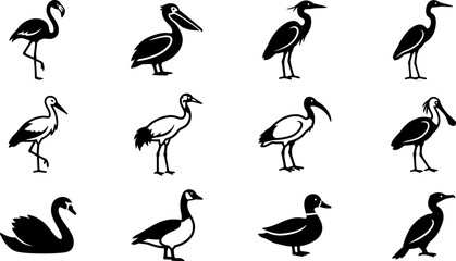 Set of black and white silhouettes of various water birds. © Inova