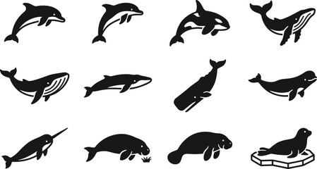 Collection of black and white silhouettes of various marine mammals. © Inova
