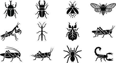 Set of black insect and arachnid silhouettes. © Inova