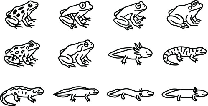 Collection of hand drawn frogs toads salamanders and newts.