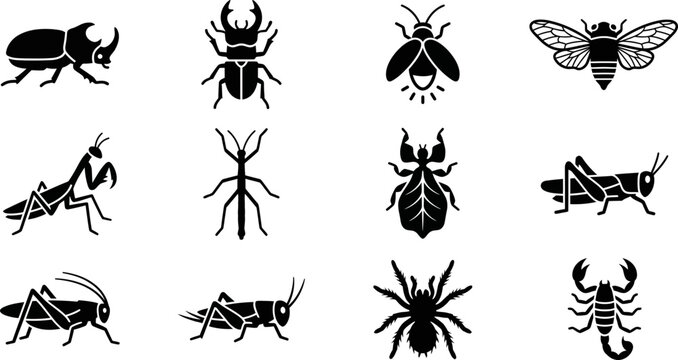 Set of black insect and arachnid icons on white background.