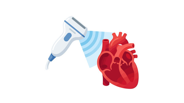 White Ultrasound Wand Scanning Red Heart