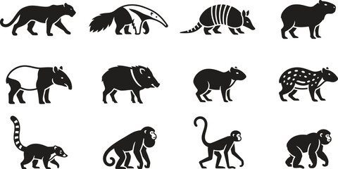 Set of silhouettes of South American jungle animals and wild creatures. © nami8
