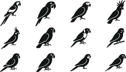 Set of various parrot silhouettes icons on white background. © nami8