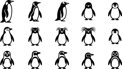 Collection of various penguin species in minimalist black and white vector icons. © nami8