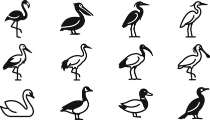 Collection of various water bird silhouettes and icons. © nami8