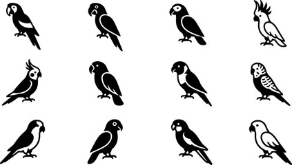 Set of black and white parrot icons featuring different species. © nami8