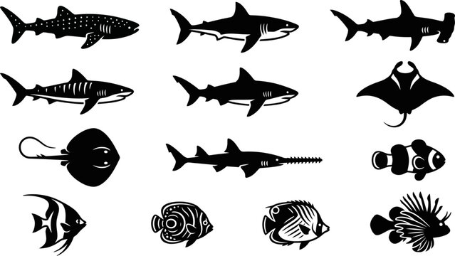 Collection of various marine animals and fish silhouettes.