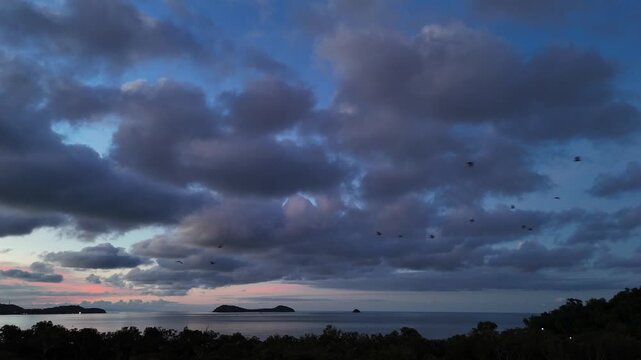 Aerial footage of bats flying at dusk above a small town. Hundreds of bats emerge into the evening sky, silhouetted against the fading sunset as they spread out over rooftops and surroundings 