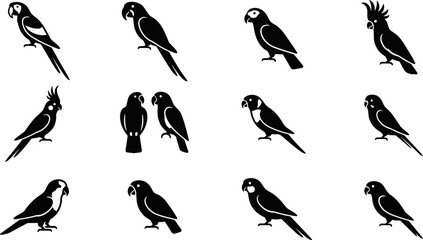 Set of black and white parrot bird silhouettes. © Ternak