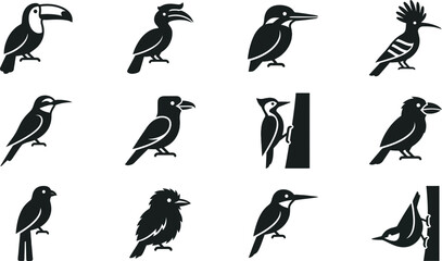 Collection of various bird species icons in flat black style. © Ternak
