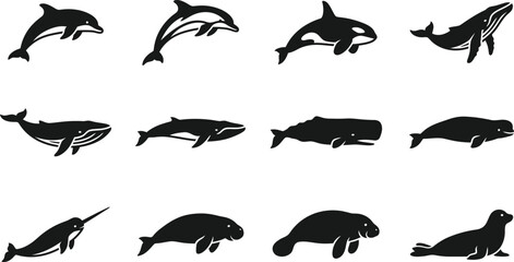 Set of silhouettes representing various marine mammals and whales. © Ternak
