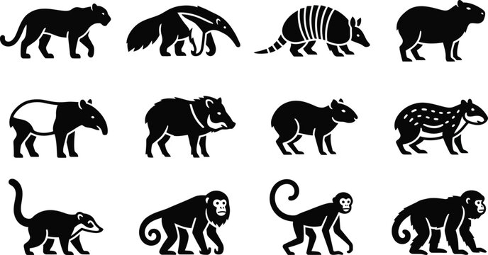 Set of black silhouette icons of South American wildlife animals.