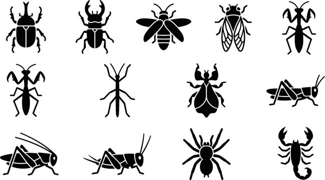 Collection of various insect and arachnid silhouette icons.