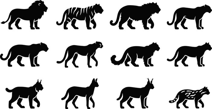 Set of silhouettes of various wild cat species walking.