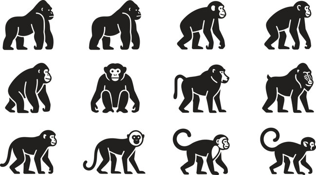 Set of black silhouette icons depicting various primate species including gorillas chimpanzees and monkeys.