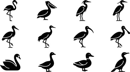 Collection of black bird silhouettes including waterfowl and wading birds. © Pionn