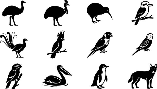Set of black silhouette icons featuring Australian wildlife birds and a dingo.