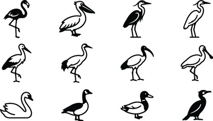 Set of various water bird icons and silhouettes collection. © Pionn