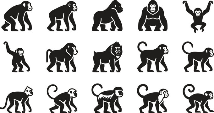Set of black and white vector icons featuring various monkey and primate species.