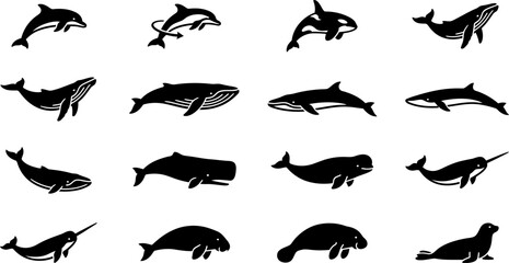 Collection of various marine mammal silhouettes including whales dolphins and seals. © Rahmat