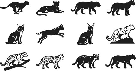 Set of wild cat silhouettes in various poses and species. © Arzo