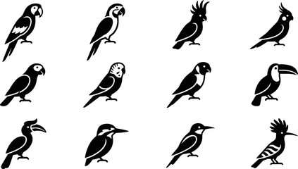 Set of stylized black silhouette icons featuring various tropical and exotic bird species. © Arzo