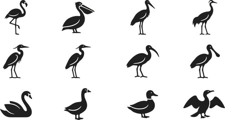 Collection of various water bird silhouettes and aquatic fowl icons. © Arzo