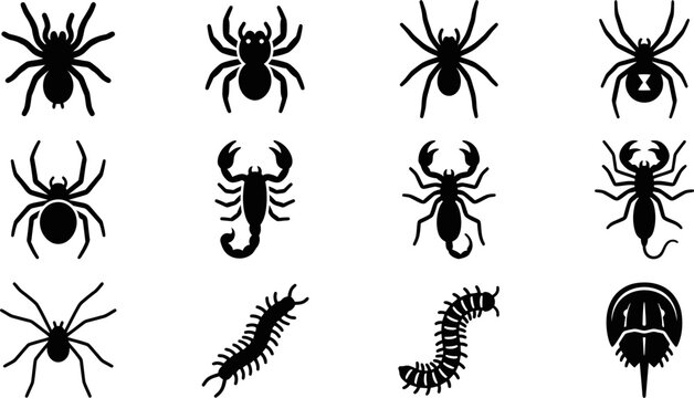 Set of black silhouettes of spiders scorpions and insects.