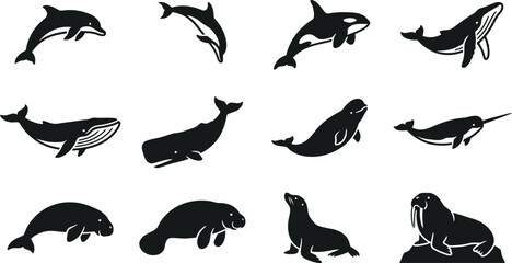 Collection of Marine Mammals and Aquatic Animals Silhouette Icons. © Mutmainah