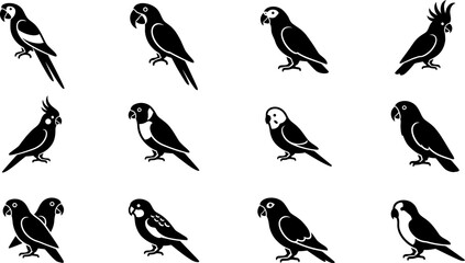 Set of black and white parrot silhouette icons. © Mutmainah