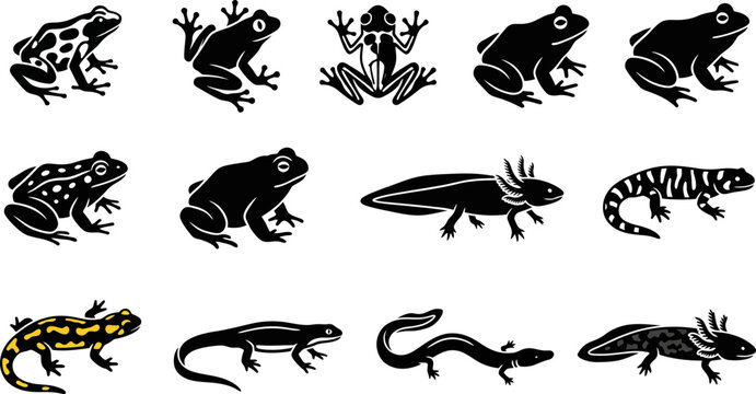 Collection of black and white silhouettes of various amphibians and reptiles.