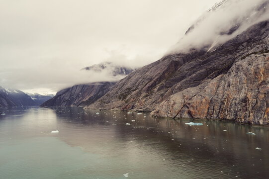 Alaskan wilderness, glacial fjord with floating icebergs