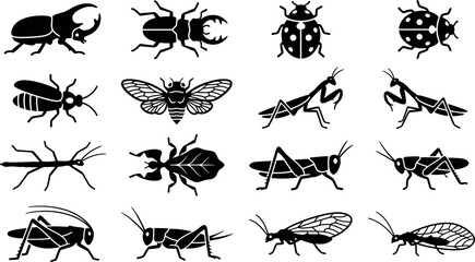 Collection of various insect silhouettes for nature and entomology designs. © Dhea