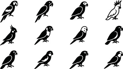 Collection of stylized black and white parrot icons and bird silhouettes. © Dhea