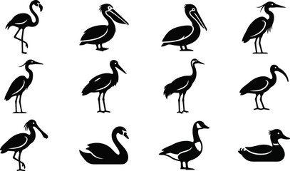 Set of black bird silhouettes including waterfowl and wading birds. © Dhea
