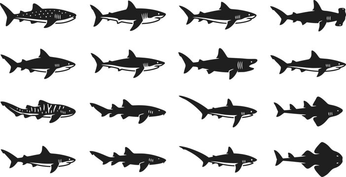 Set of various shark species silhouettes in black and white.