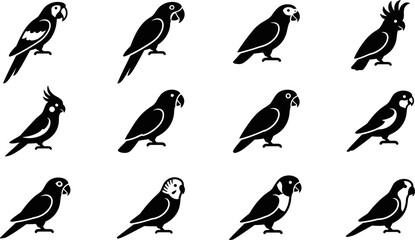Set of twelve black silhouette icons of different parrot species. © Dhea