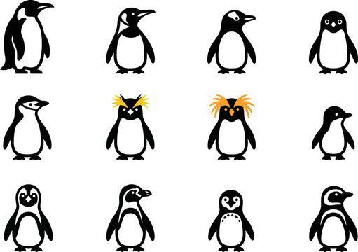 Collection of stylized penguin character icons and vector illustrations.