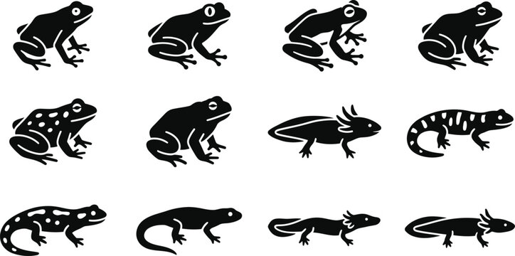 Set of black and white silhouettes of frogs and salamanders.