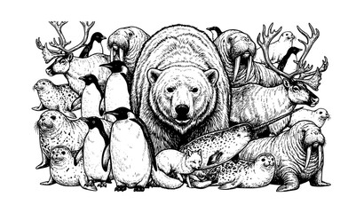 Polar arctic animals collection with polar bear penguins and walrus vector illustration © Shahanaj