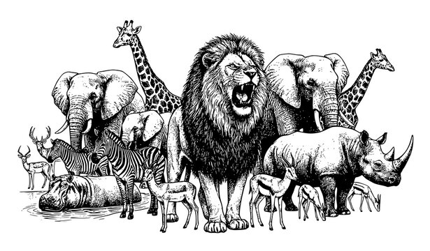 African savanna wildlife animals collection with roaring lion and elephants vector illustration